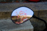 2221 Bougainvilla in Motorcycle Mirror.JPG (105 KB)